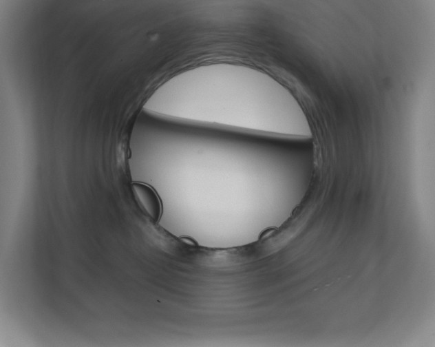 X0000112080382200908041015