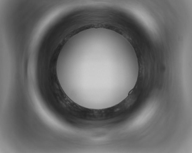 X0000112080383200908041015
