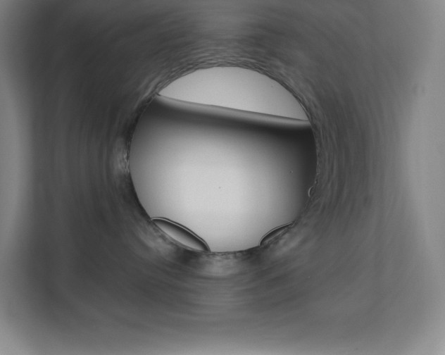 X0000112080384200908041015