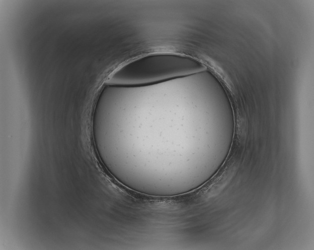 X0000112080385200908041015