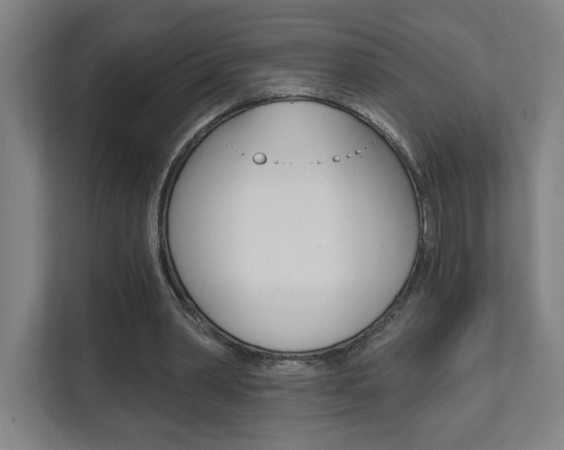 X0000112080390200908041015