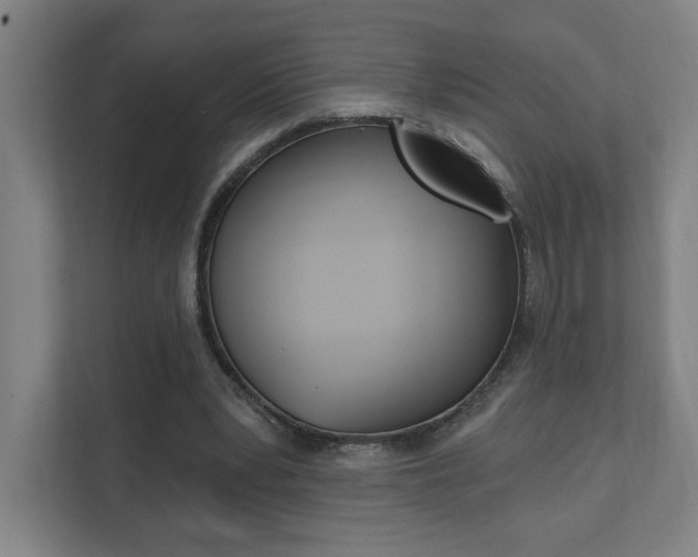 X0000112080391200908041015