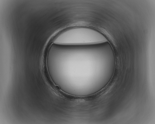 X0000112080392200908041015