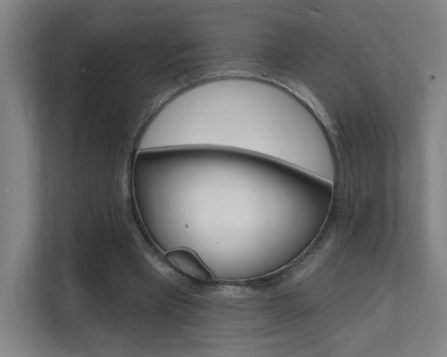 X0000112080393200908041015