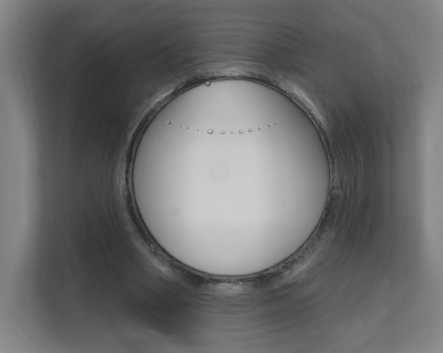 X0000112080394200908041015