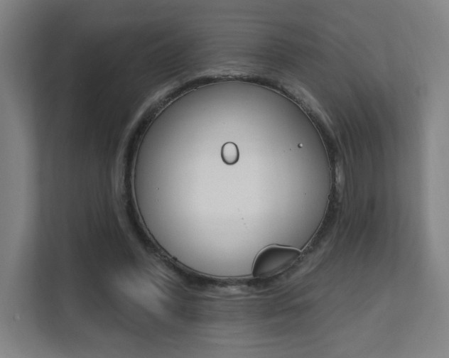 X0000112080396200908041015