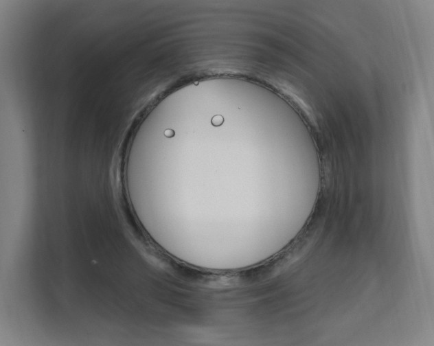 X0000112080398200908041015