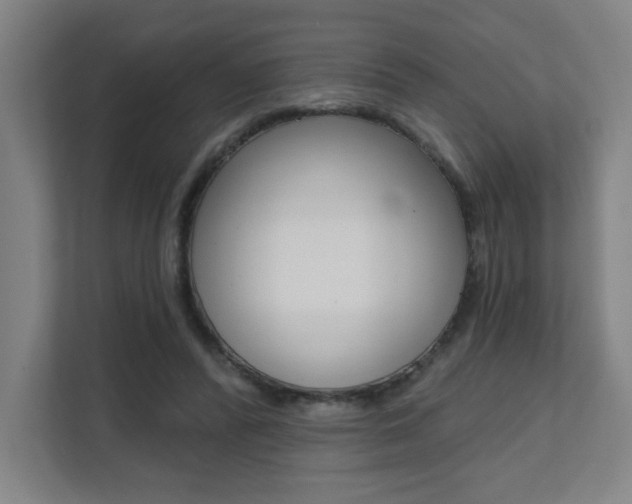 X0000112080400200908041015