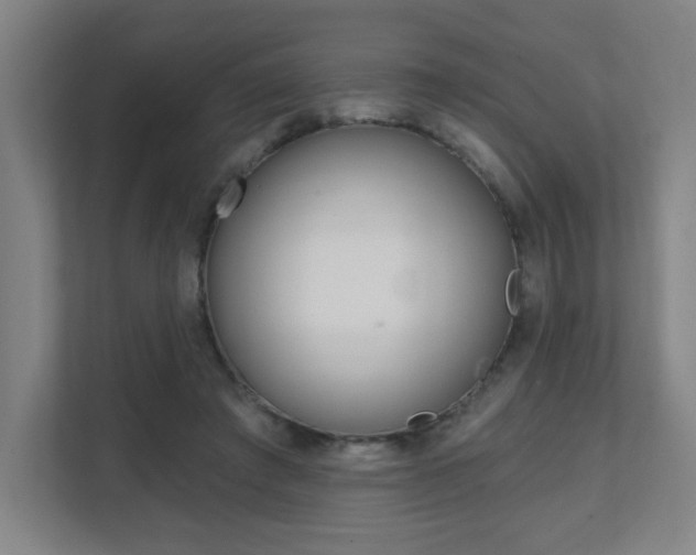 X0000112080401200908041015