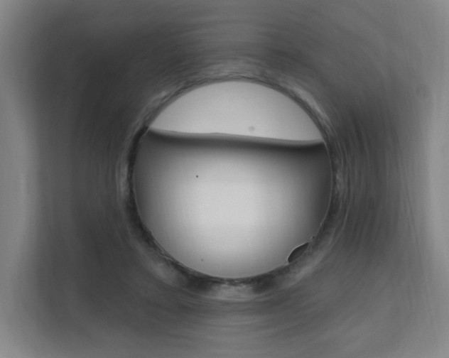 X0000112080403200908041015