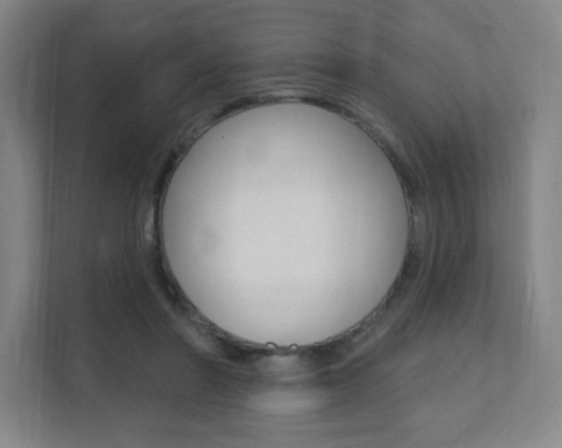 X0000112080406200908041014
