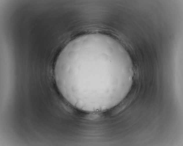 X0000112080418200908041014