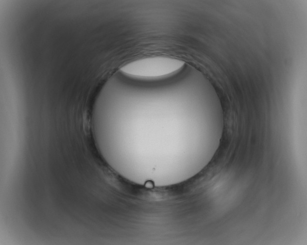X0000112080420200908041014