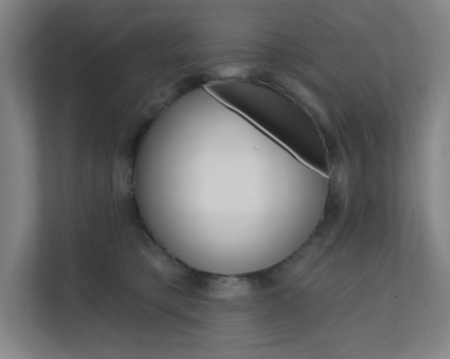 X0000112080421200908041014