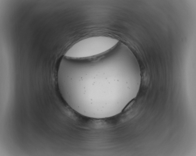 X0000112080424200908041014