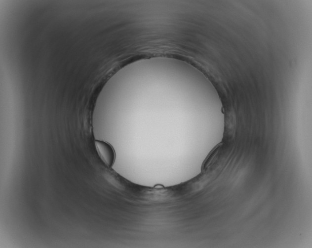 X0000112080428200908041014