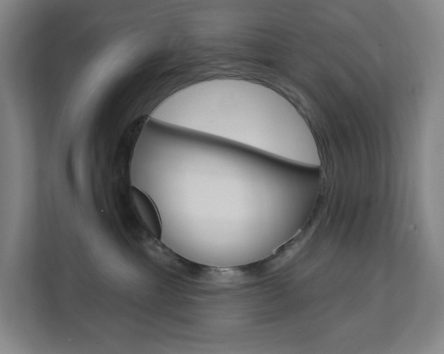 X0000112080429200908041014