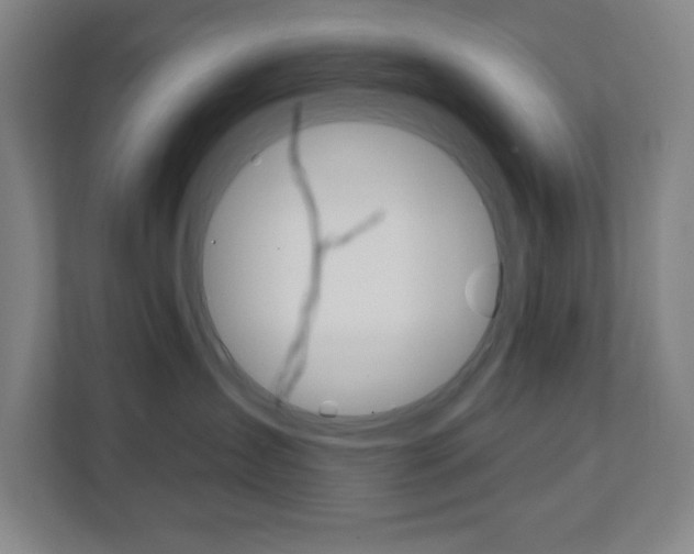 X0000112080431200908041014