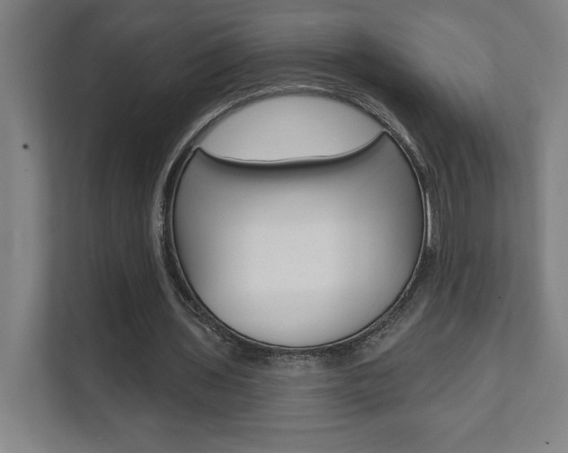 X0000112080435200908041014