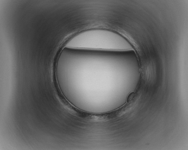 X0000112080442200908041014