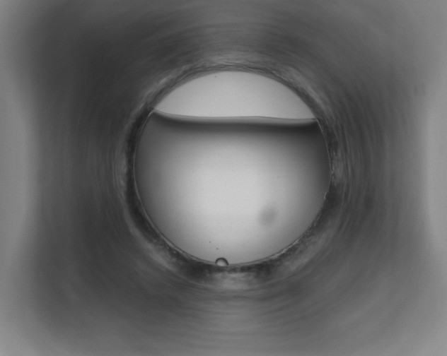 X0000112080448200908041014
