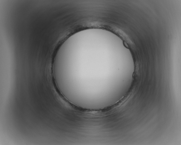 X0000112080449200908041014