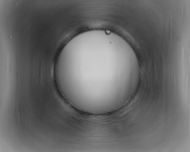 X0000112080454200908041014