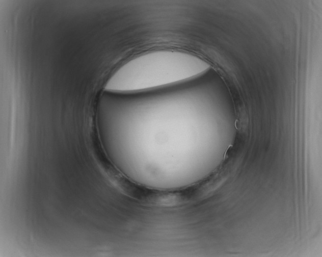X0000112080456200908041014