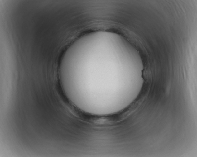 X0000112080460200908041014
