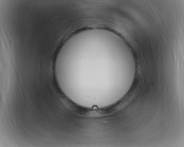 X0000112080461200908041014