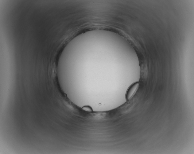 X0000112080474200908041014