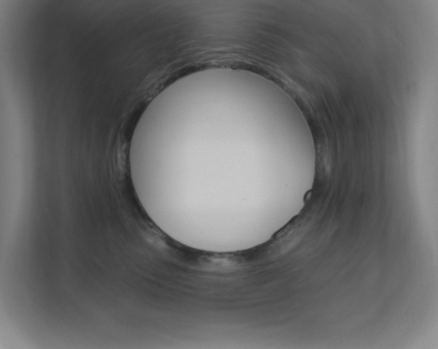 X0000112080475200908041014