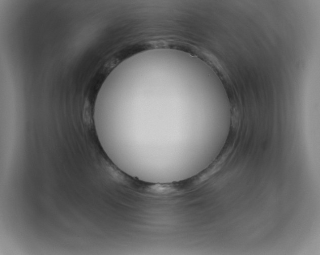 X0000112080477200908041014