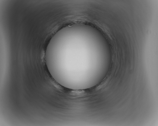 X0000112080480200908041014