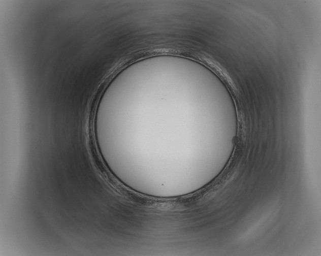 X0000112080482200908041013