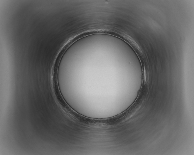 X0000112080483200908041013