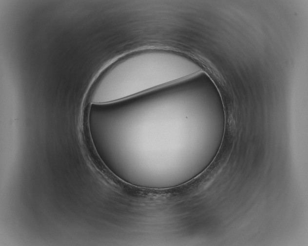 X0000112080484200908041013
