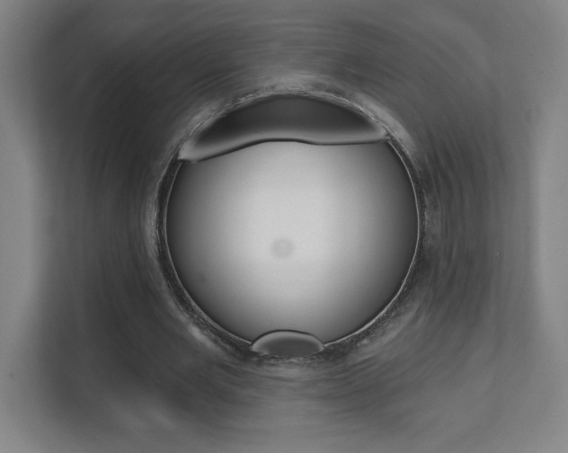 X0000112080485200908041013