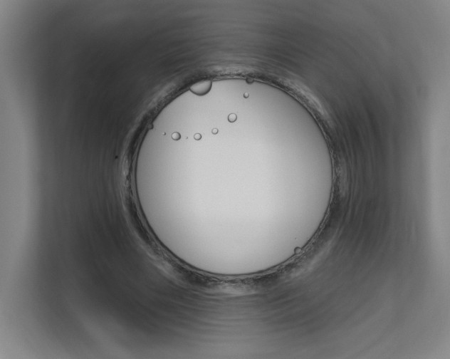 X0000112080490200908041013