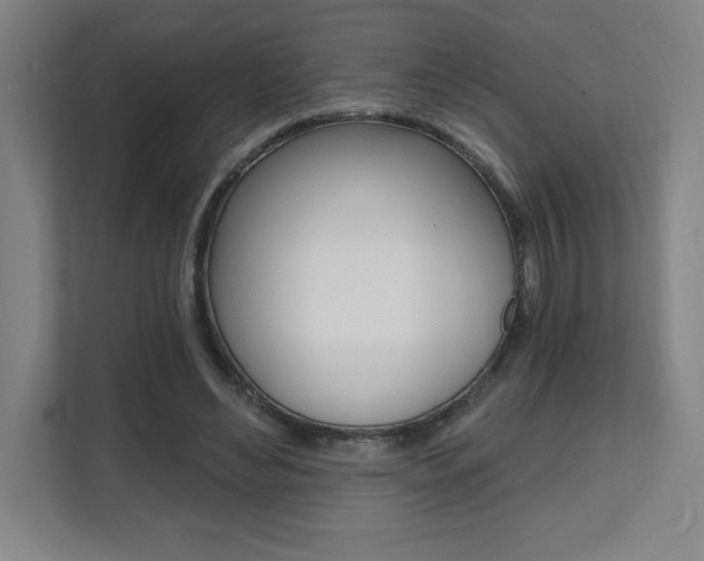 X0000112080492200908041013