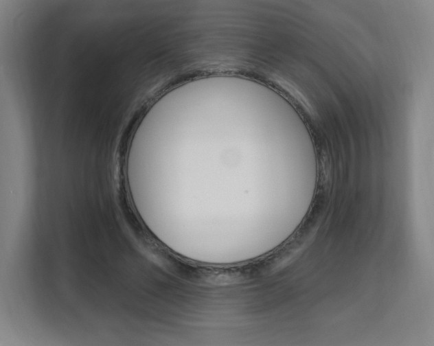 X0000112080494200908041013