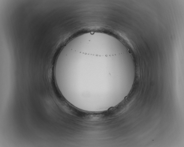 X0000112080495200908041013
