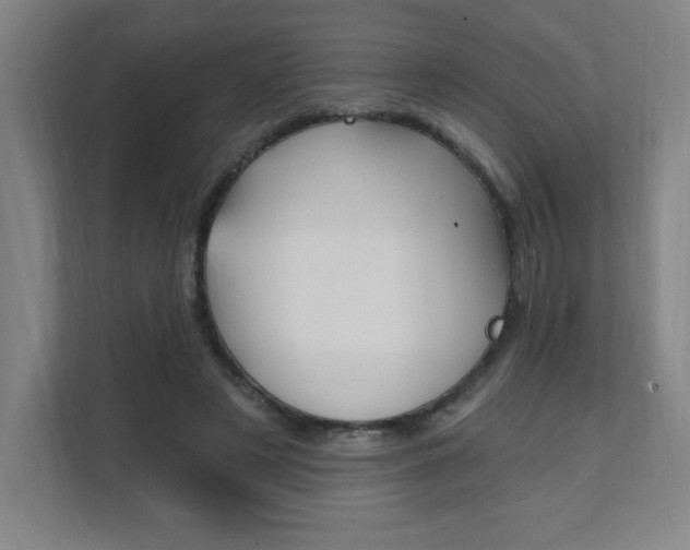 X0000112080497200908041013