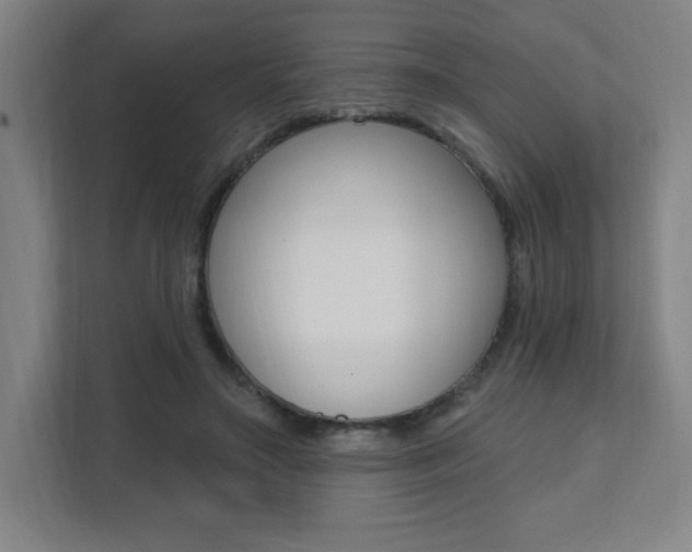 X0000112080499200908041013
