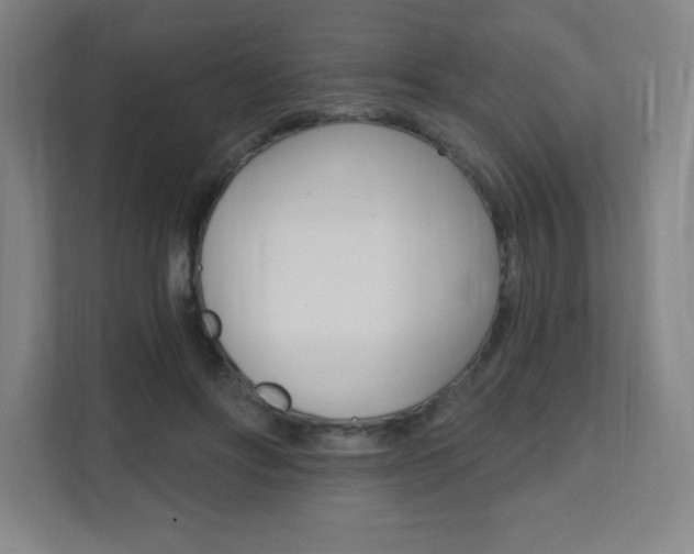 X0000112080502200908041013
