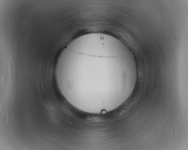 X0000112080503200908041013