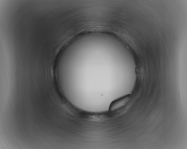X0000112080508200908041013