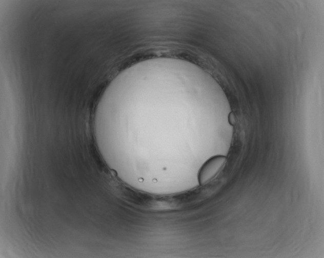 X0000112080510200908041013