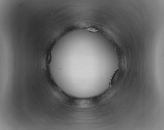 X0000112080512200908041013