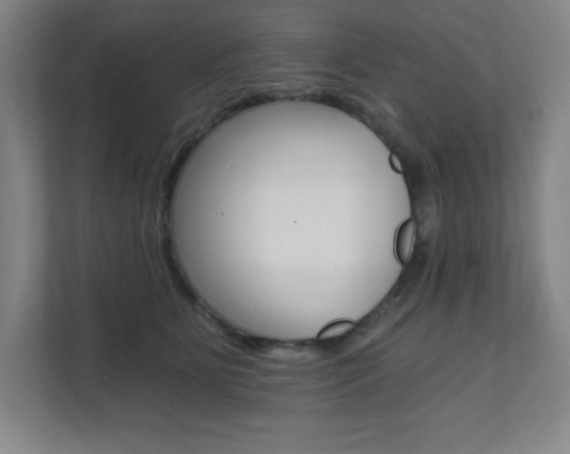 X0000112080515200908041013